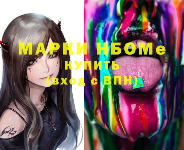 индика Аркадак