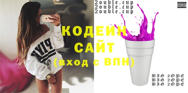 индика Аркадак