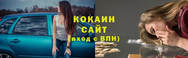 прущая мука Арсеньев