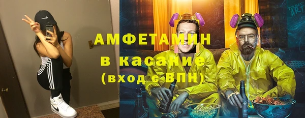 индика Аркадак